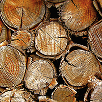 Bois et papiers