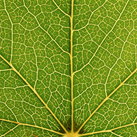 Environnement