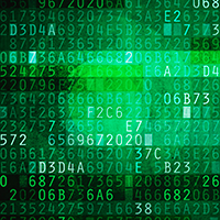 S&eacute;curit&eacute; des syst&egrave;mes d'information